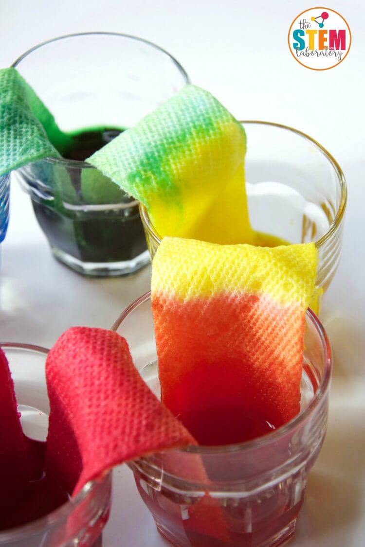 Cool science experiment for kids! Make a walking water rainbow.
