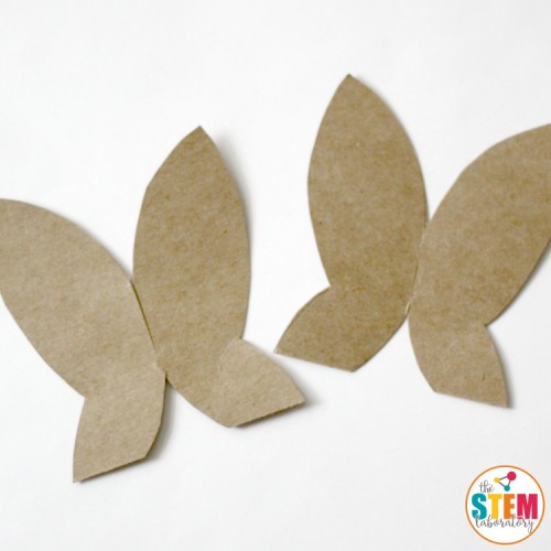 Make your own crystal butterfly using common household ingredients. Such a fun first chemistry lesson and beautiful science activity for kids.