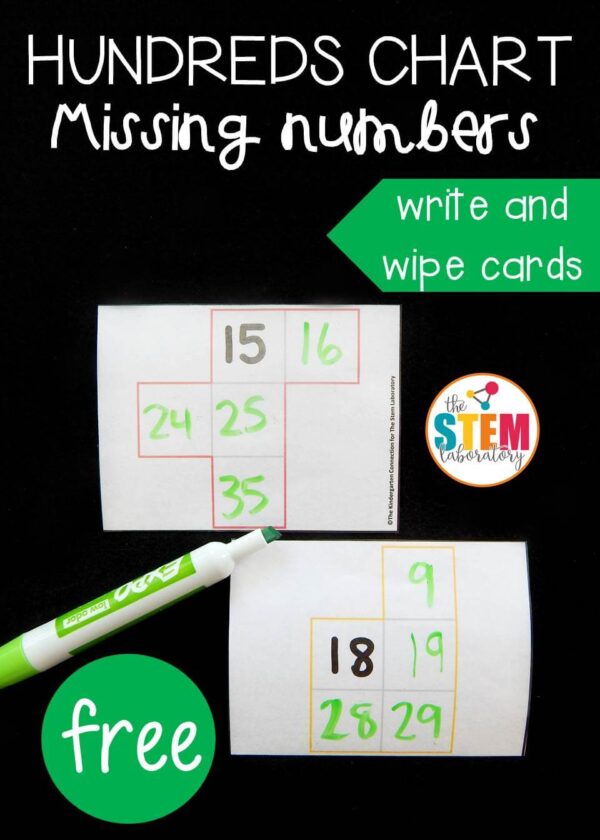 hundred chart missing numbers write and wipe pin - The Stem Laboratory