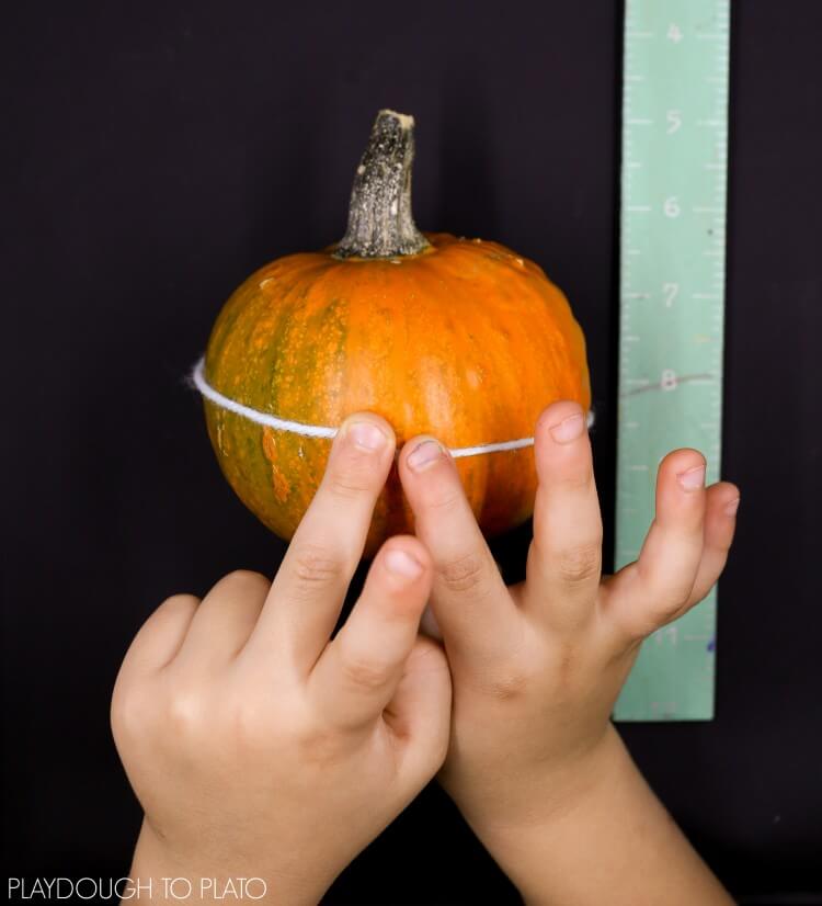 Pumpkin Investigations