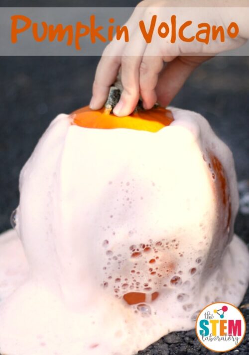 Fall is the perfect time to make a pumpkin volcano using simple kitchen ingredients. The kids will jump and cheer as they watch their volcano erupt!