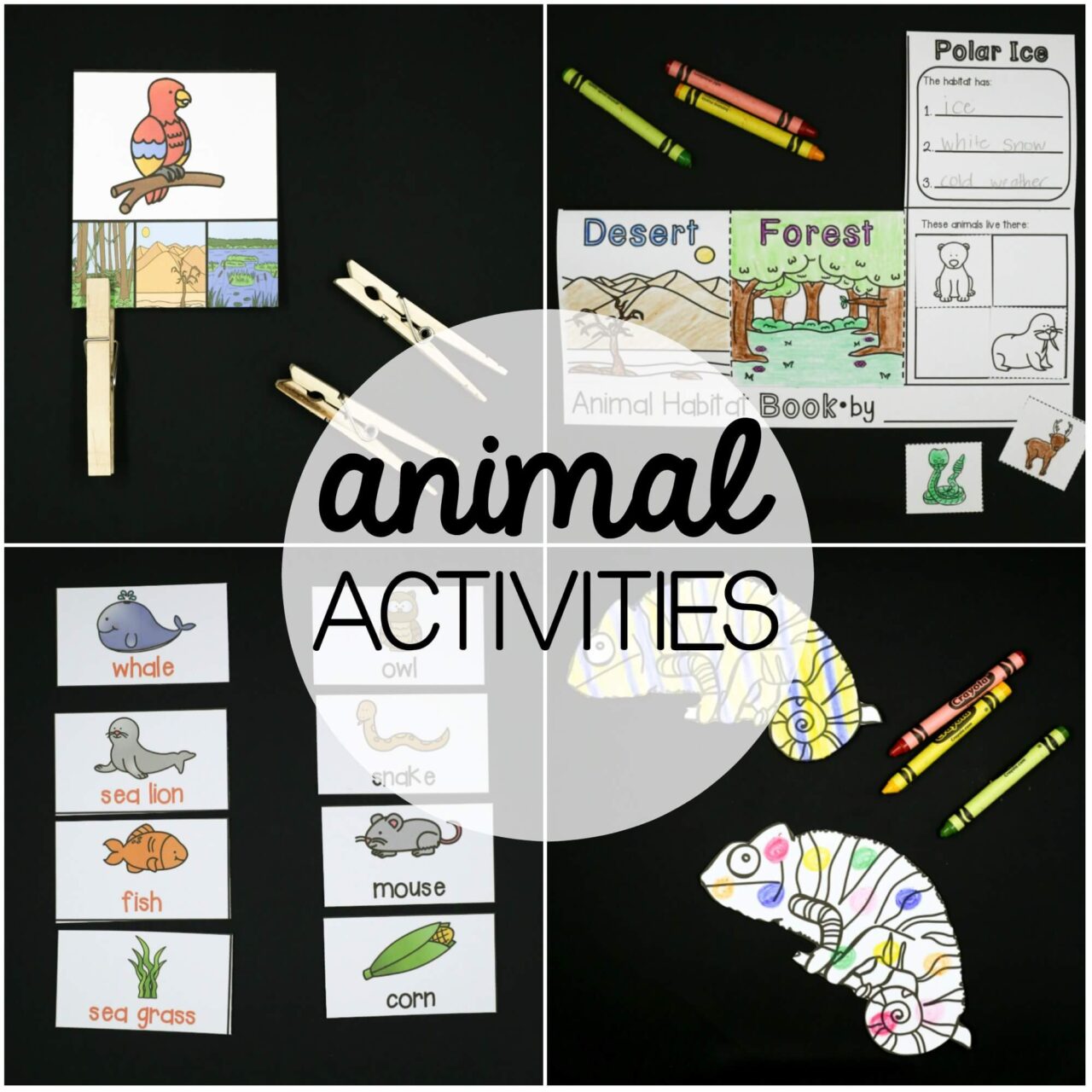 Animal Activity Pack - The Stem Laboratory