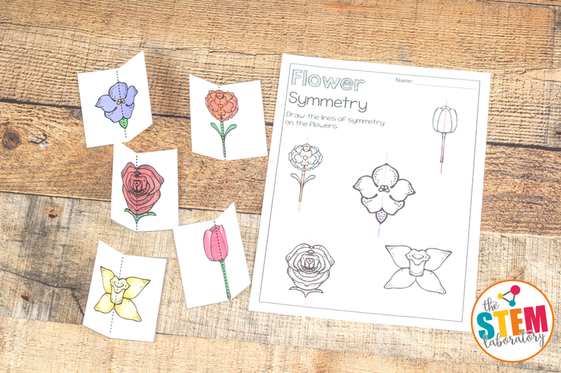 Work on symmetry in art, nature, and math with this fun flower themed symmetry set!