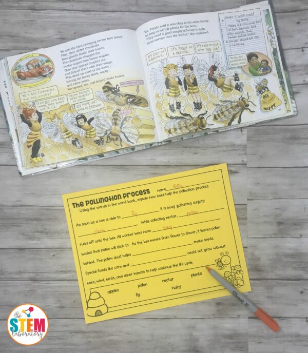 Honey Science - The Stem Laboratory