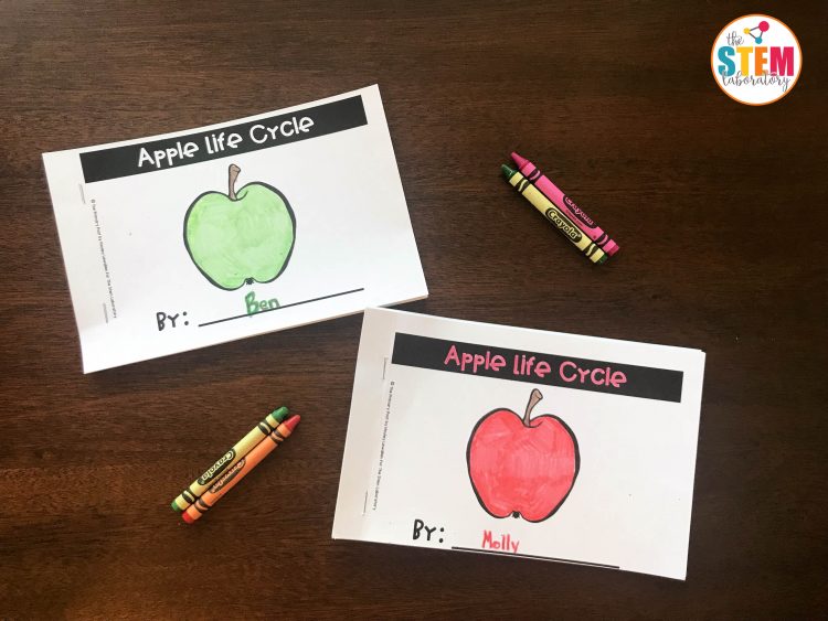 Apple Life Cycle Book