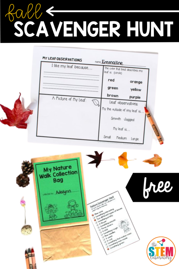 Fall Scavenger Hunt - The Stem Laboratory