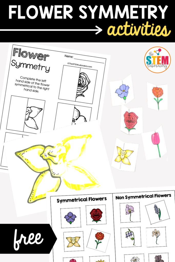 Flower Symmetry Activities