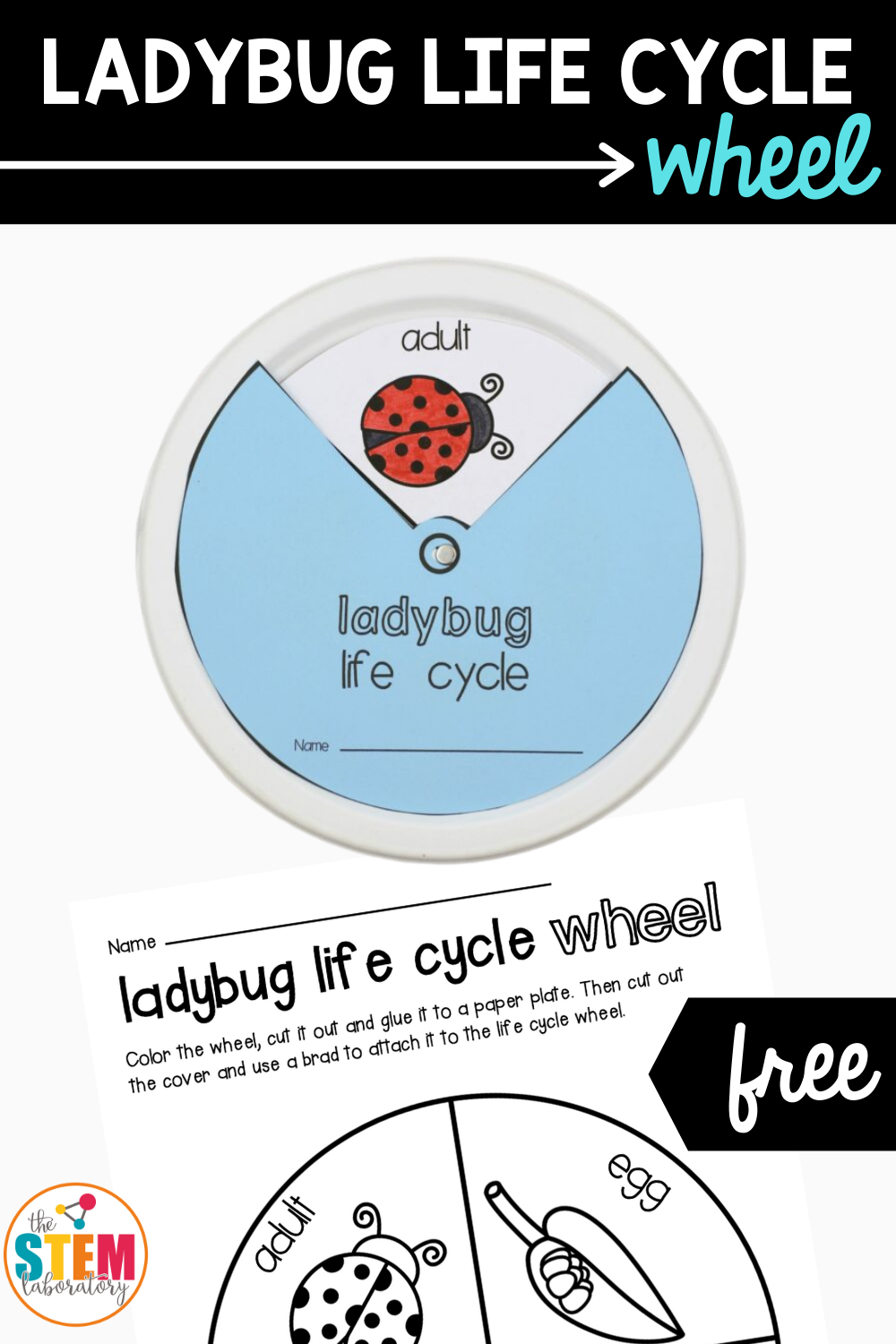 Ladybug Life Cycle Wheel Craft