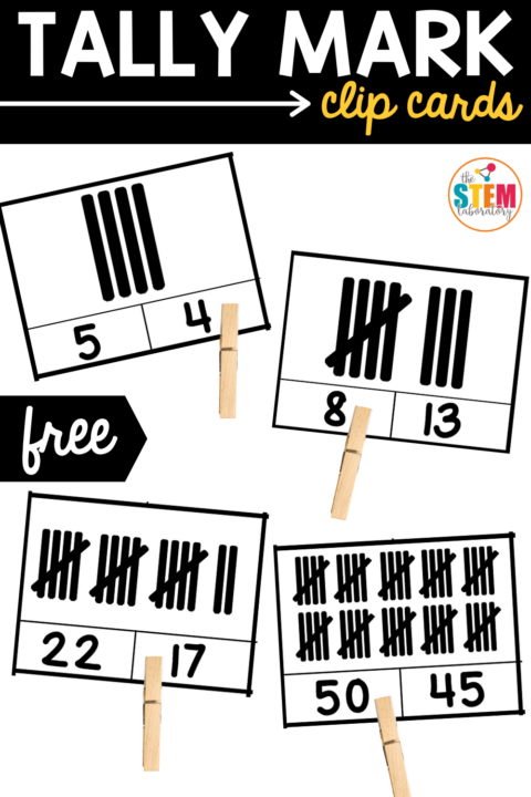 Tally Mark Clip Cards - The Stem Laboratory